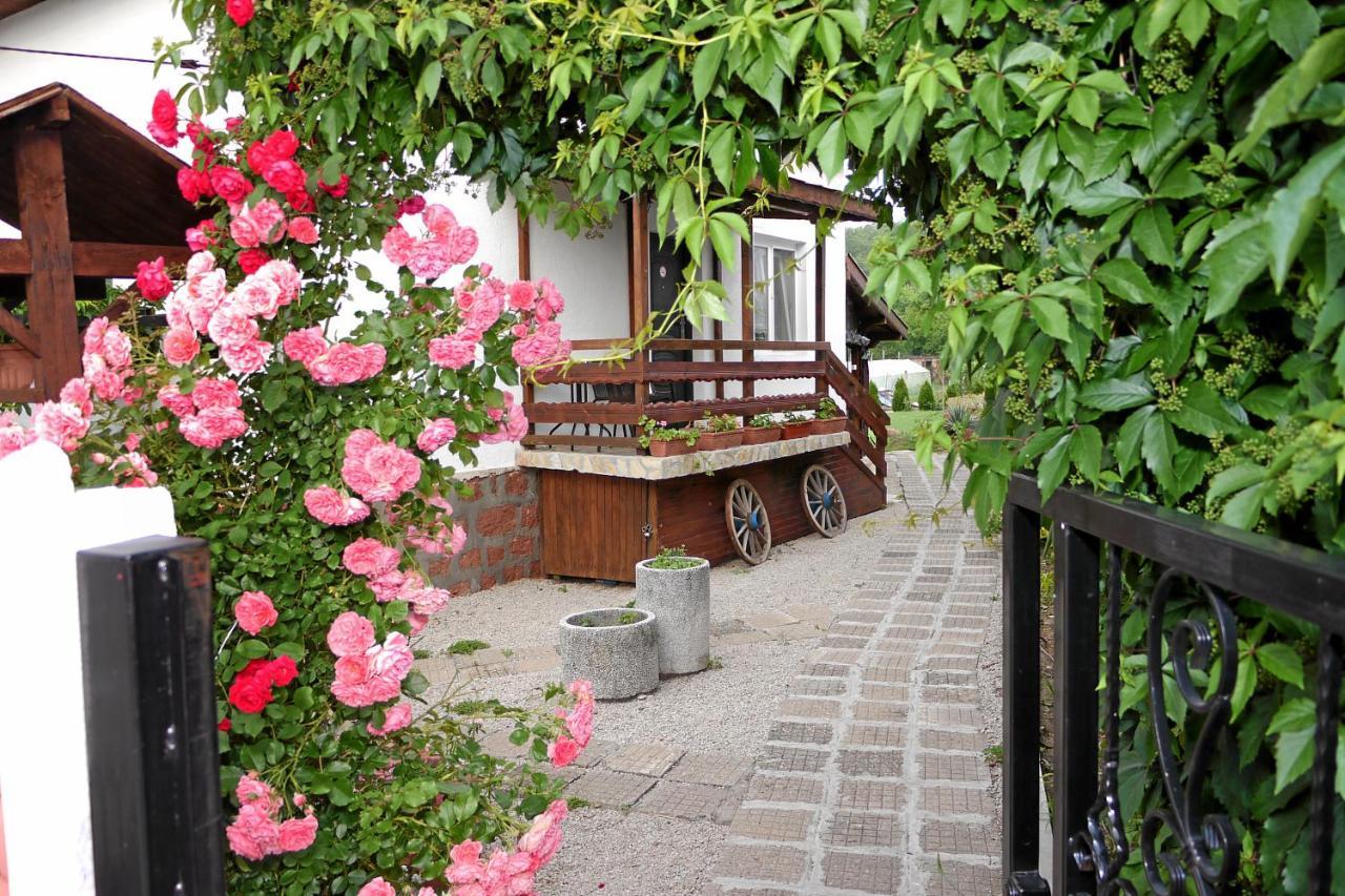 Guest House Medina Belogradçik Dış mekan fotoğraf