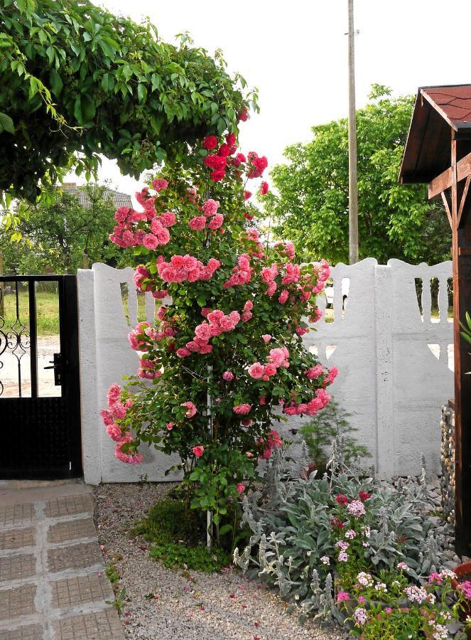 Guest House Medina Belogradçik Dış mekan fotoğraf
