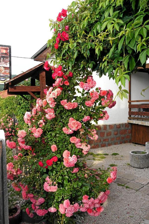 Guest House Medina Belogradçik Dış mekan fotoğraf