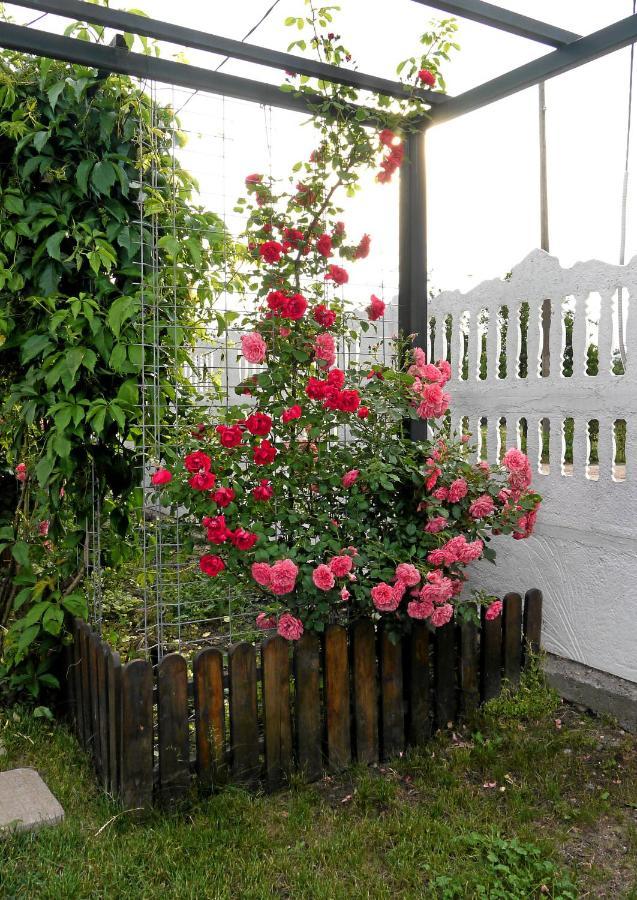 Guest House Medina Belogradçik Dış mekan fotoğraf