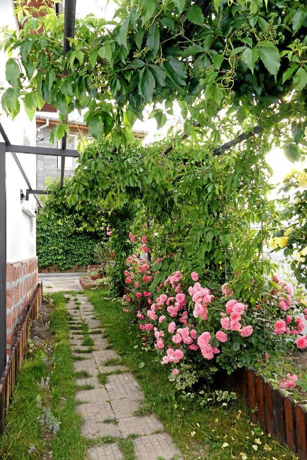 Guest House Medina Belogradçik Dış mekan fotoğraf