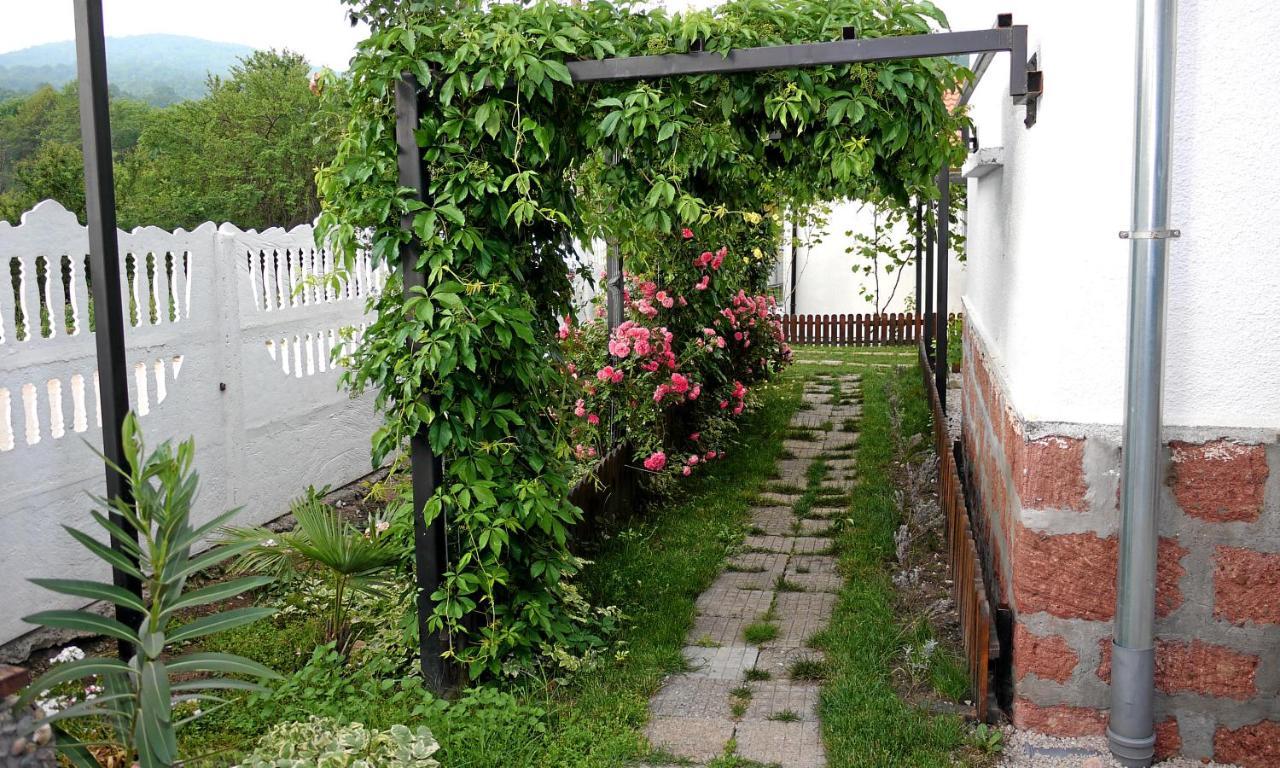 Guest House Medina Belogradçik Dış mekan fotoğraf